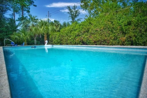 Pool time! Relax and swim! Do laps and hang out with family and friends!