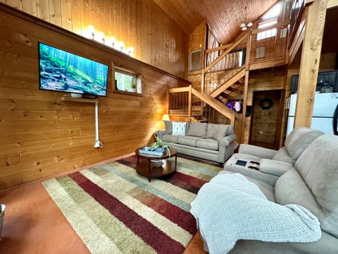 Main House Living Area with queen sleeper sofa