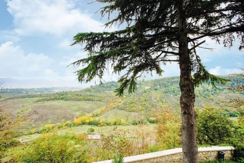 View from Holiday Home [summer]