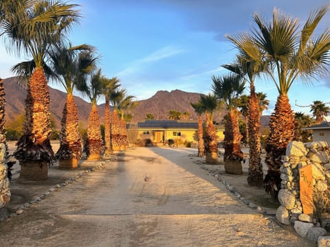 Palmed lined front entrance