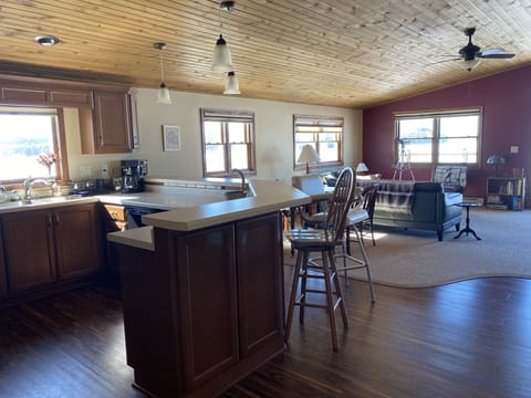 Kitchen and living room