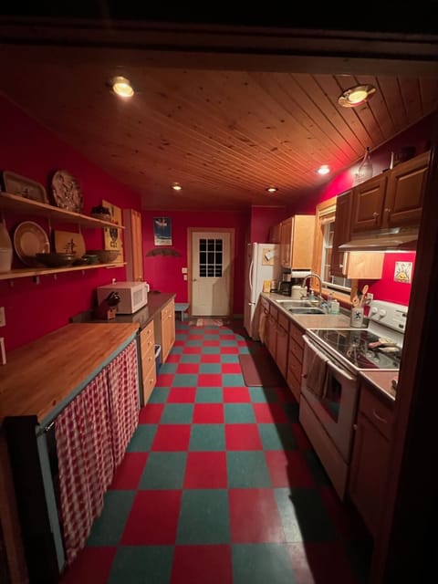 Looking South out the Kitchen