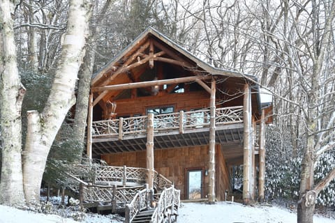 TreeHouse at Fiddlehead