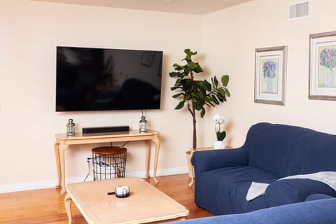 Living Room with 65 inch Smart TV and Sonos sound beam!