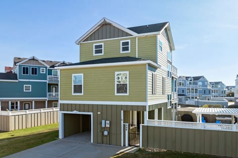 CB40: Green Sea Turtle | Front Exterior