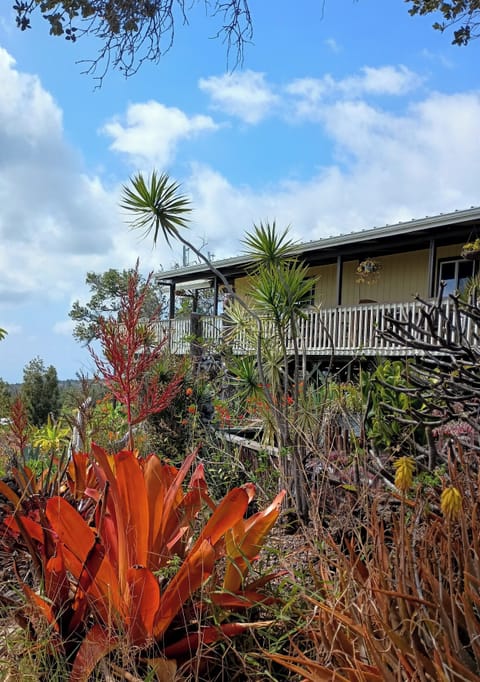 Looking up from the Koi pond to the lanai 