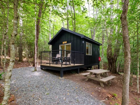 884d49a1-f701-4dd3-b2c2-9e4dda670c22