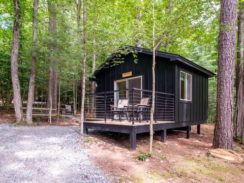 0d33d464-9691-498f-a155-4176e5ae5bb8