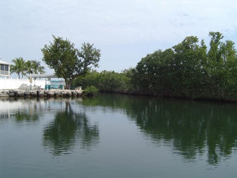Boat basin / Swimming