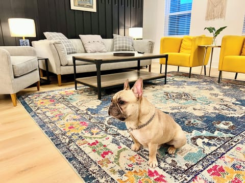 LIVING ROOM - Enter a living room that seamlessly combines contemporary design with warm, inviting comfort. This space serves as the beating heart of the home, a place where style and relaxation coexist in perfect harmony. The color palette is a refined mix of neutral tones, with splashes of muted blues to infuse the space with a sense of tranquility.