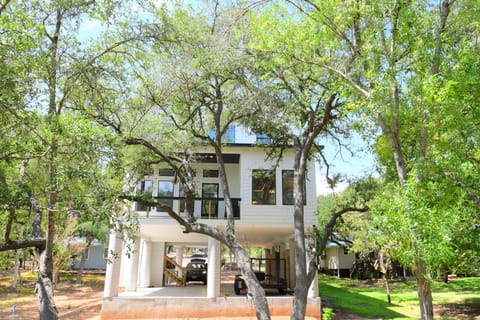 Tree, Tree Trunk, House, City, Vegetation