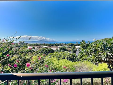 Gorgeous View from Patio