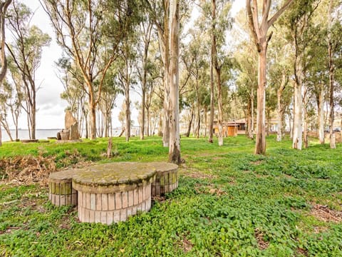 Holiday Park Facilities and Services 