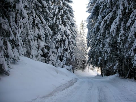 Immediate Surroundings [winter] (<1 km)