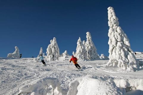 Region [winter] (>5 km)