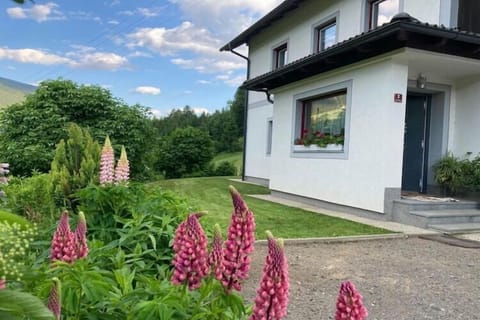 View from Holiday Home [summer]