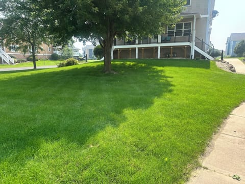 Large backyard with dog station in ba k corner!
