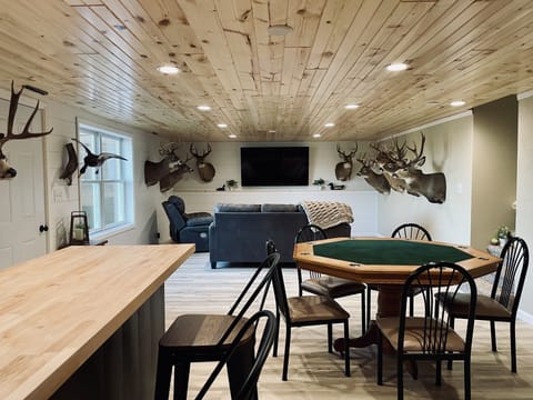 Family Room - lower level