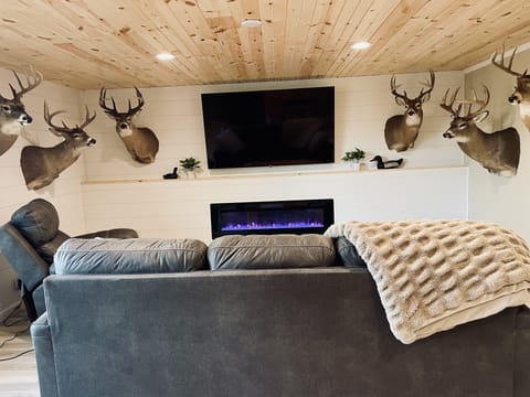 Family Room - lower level