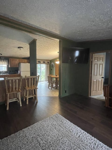 Kitchen opens up to living room.  55" smart Roku TV in living room