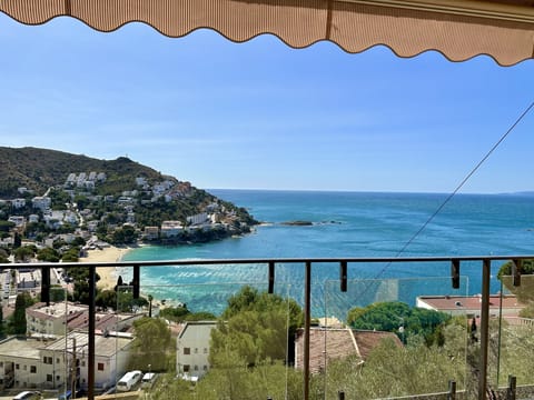 View (1)