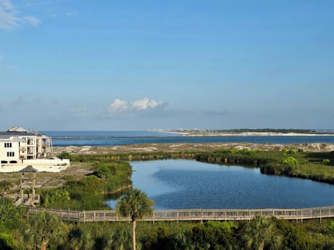 View from the Balcony