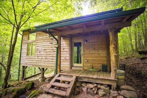 The front porch and entryway.