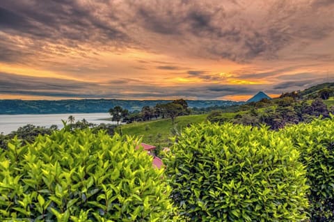 Sunrise from the front yard.