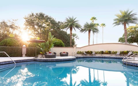 Soak up sunshine beside the sparkling pool and palms.