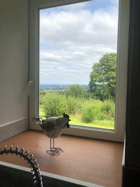 View from the kitchen area