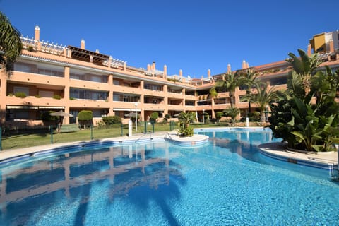 Pool & gardens