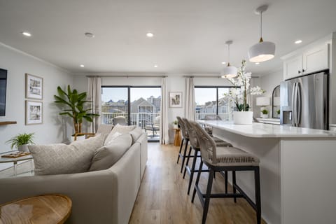 Living and Kitchen Area