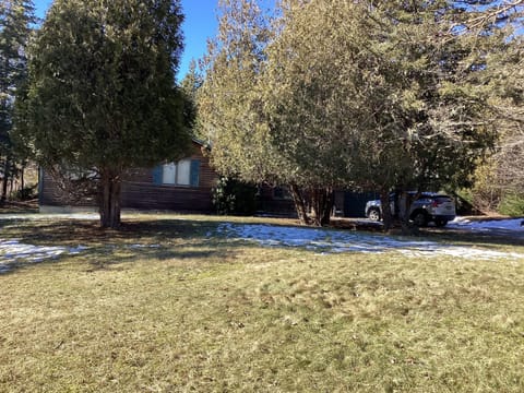 Nestled among the trees for privacy