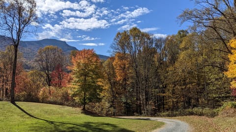 Grandfather view from porch, fall.