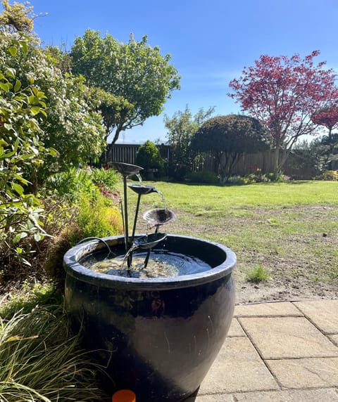 Water fountain with fish.