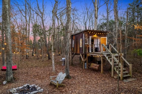 Relax and unwind in the solitude of the woods.
