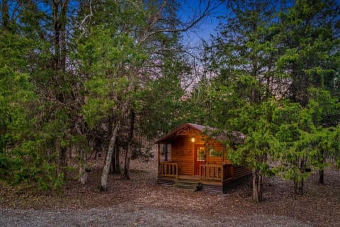 Welcome to Yes Deer.