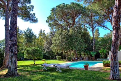 Garden, Outdoor, Pool