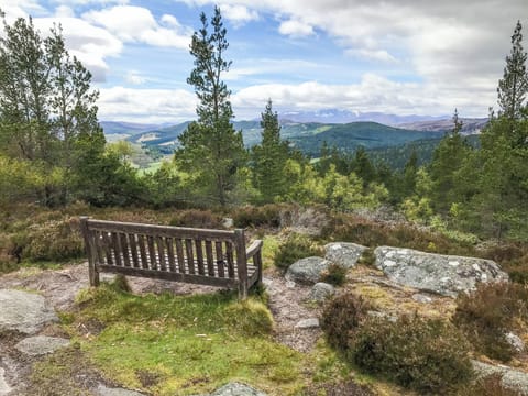 Surrounding area on Craigendarroch Hill | Pine Tree Cottage - Bonn Na Coille Cottages, Ballater