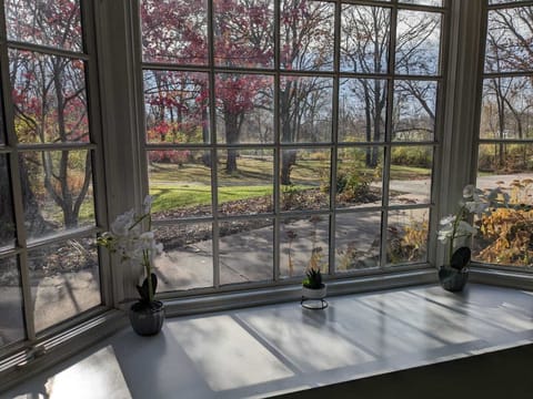 View from formal living room, with bay window overlooking expansive front yard.