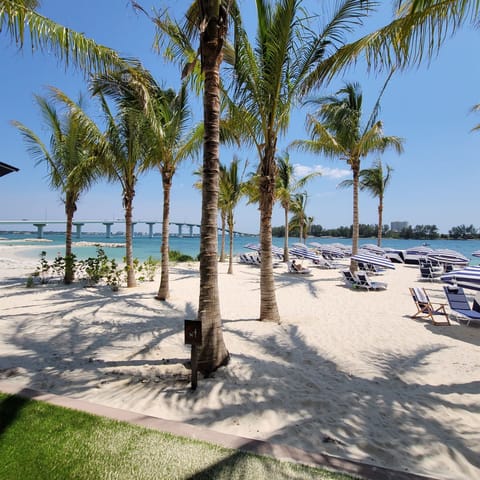 The private beach