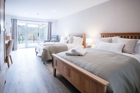 Suite 8 - Sleeping Giant Hotel - Pen Y Cae Inn (4336)