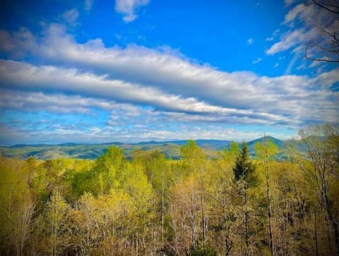 View from the deck of the Cabin.
