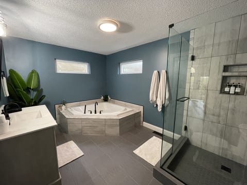 Master Bathroom with Jetted Tub