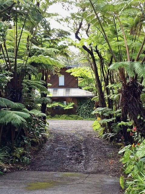 The Pacifica Inn view of the property from the entrance.