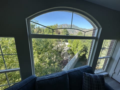 View from the living room.