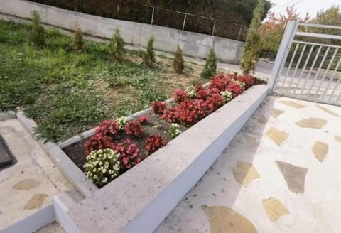 Private entrance to property, autogate and lighting