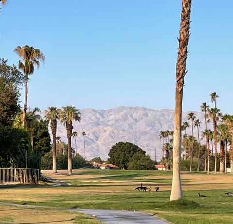 Indian Palms Country Club