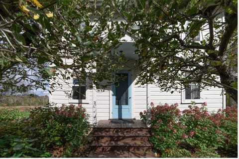 Entrance to the cottage in August, with apple trees in full foliage.