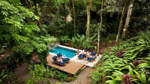Pool under tropical forest